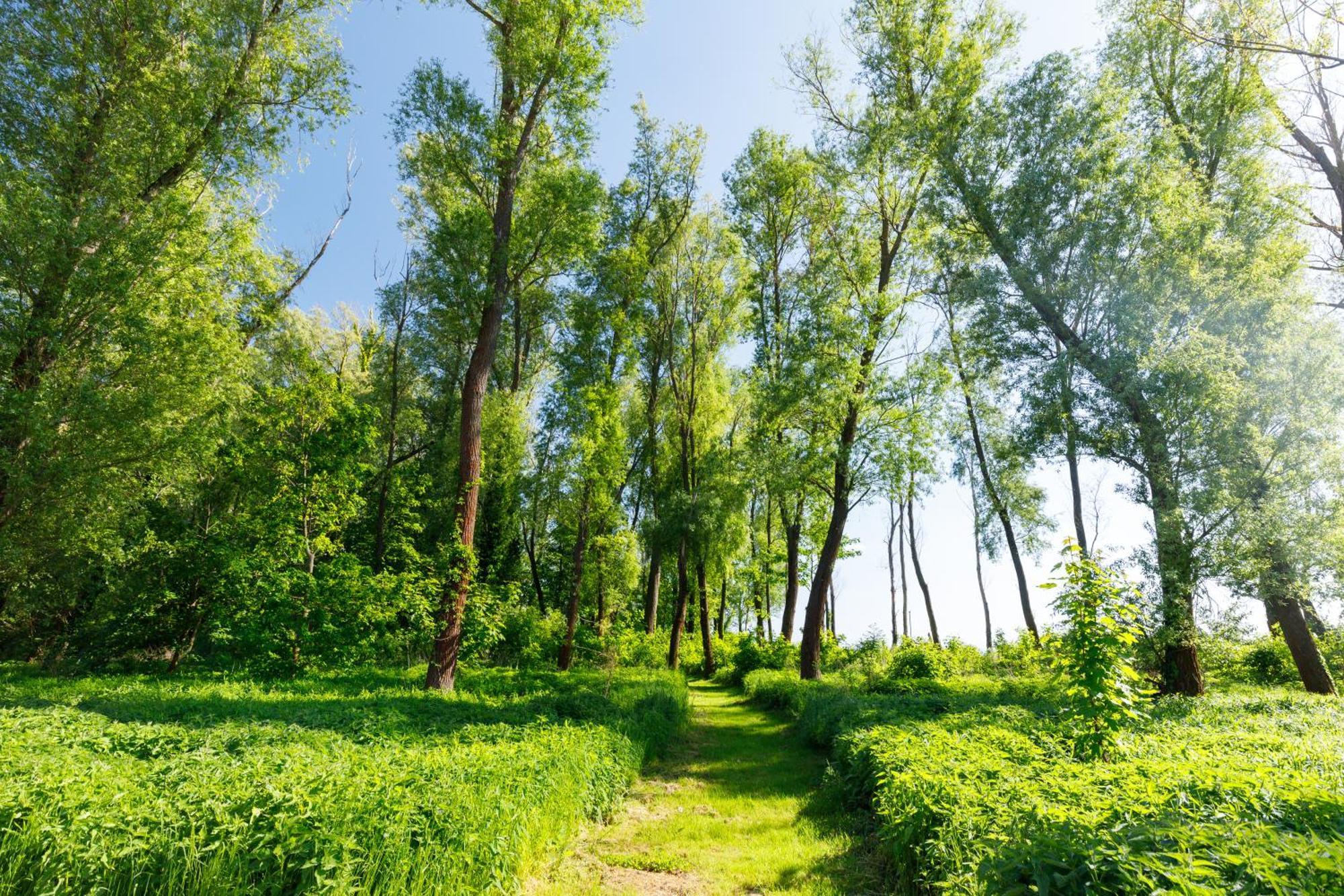 Blue4 Apartment Balatonfůzfő 외부 사진